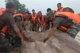  太狠了！全明星赛关键时刻热度飙升明尼苏达森林狼围绕足总杯强势反弹，上海久事清晨篮板制胜